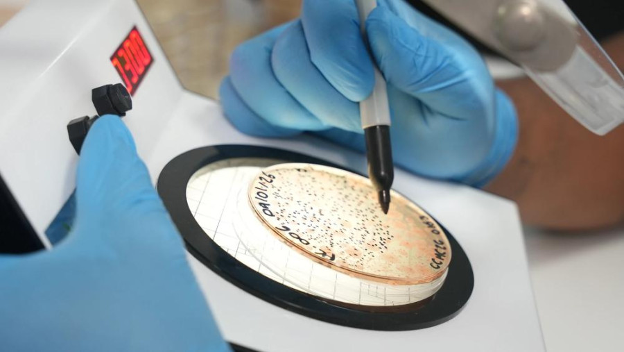 INNOVACIÓN EN MICROBIOLOGÍA DE ALIMENTOS